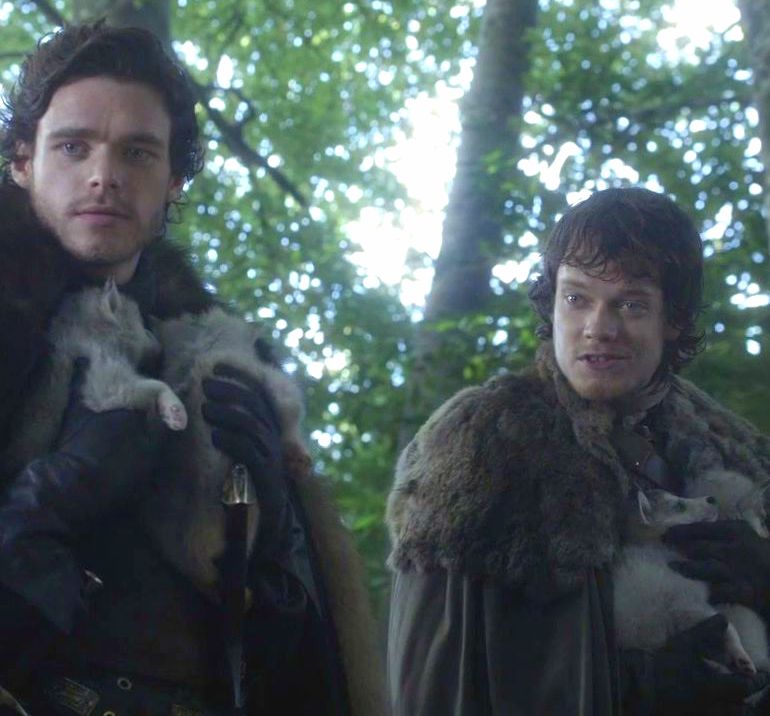 Game-Thrones-Robb-Theon-Direwolf-Pups