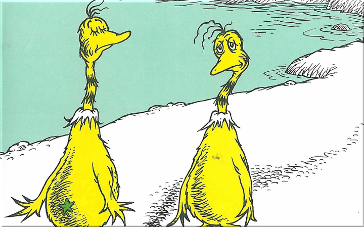 Dr-Seuss-Sneetches-Banned-Books