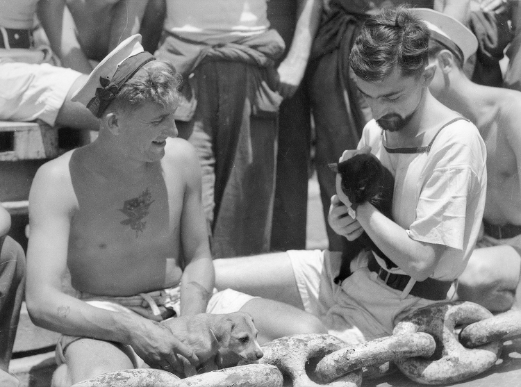 Able Seaman J. T. Walker with his pup "Shrapnel" and Able Seaman Gamble with his cat "Salvo". (Australian War Memorial)