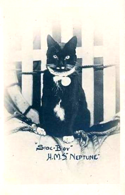 Side-Boy was the HMS Neptune's ship's cat, and also featured on the 'lucky black cat' postcards.