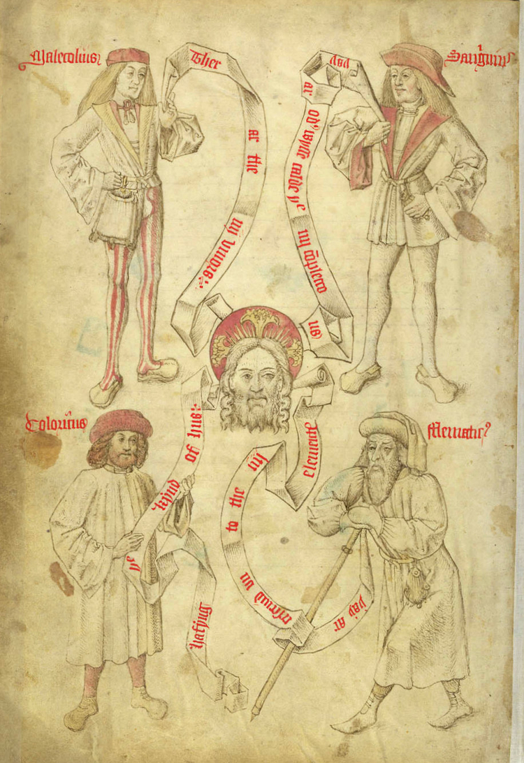 The Four Humours. From the Guild Book of the Barber Surgeons of York | British Library Egerton 2572 f. 51v 