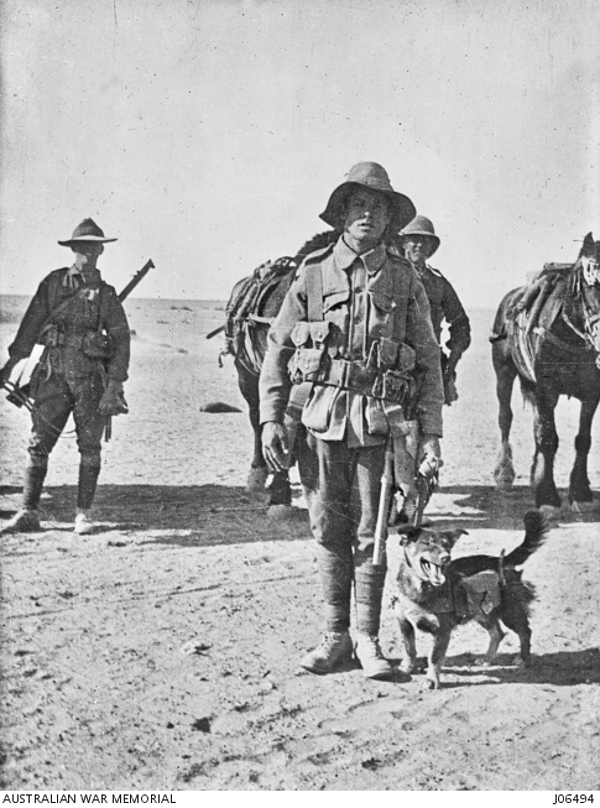 Joe-Bourke-WWI-Dogs