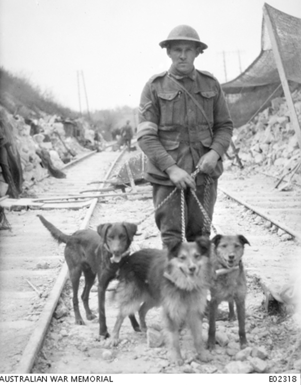 Trick-Buller-Nell-WWI-Dogs