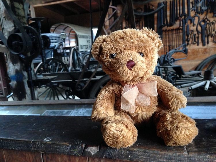 Teddy-Bears-Picnic-022